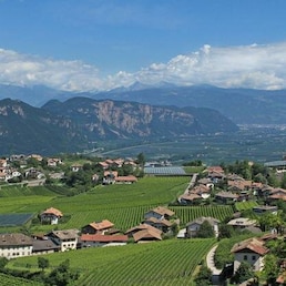 immagine non disponibile