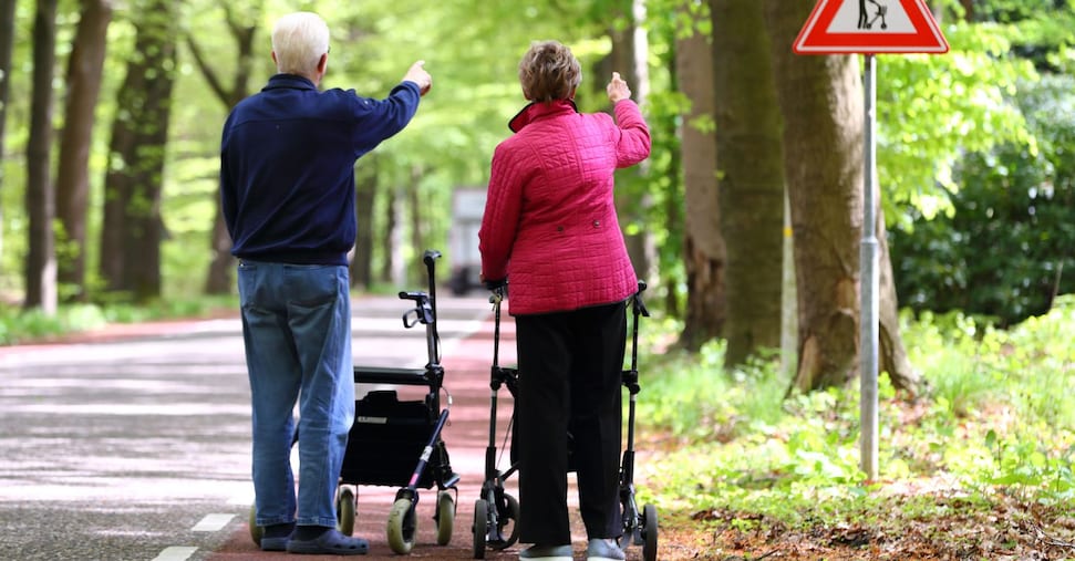 Quattromila passi nel weekend e il cuore ringrazia: così gli over 70 si difendono dalle malattie cardiovascolari