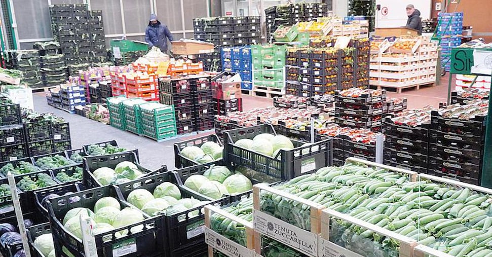 Import di ortaggi a +50% in 5 anni, ma segnali positivi da export e consumi