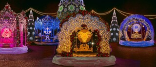 Marco Paul Christmas – Asino Della Natività Illuminato A LED, Decorazione Natalizia