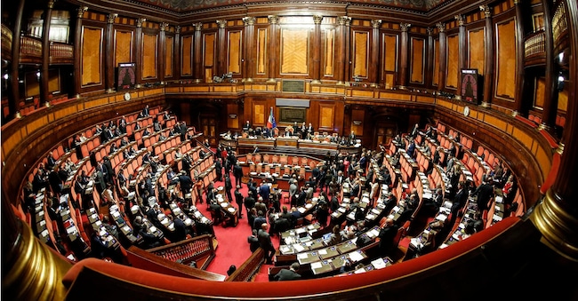 L'aula di Palazzo Madama. ANSA/RICCARDO ANTIMIANI