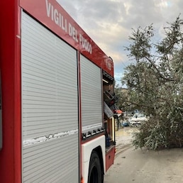 immagine non disponibile