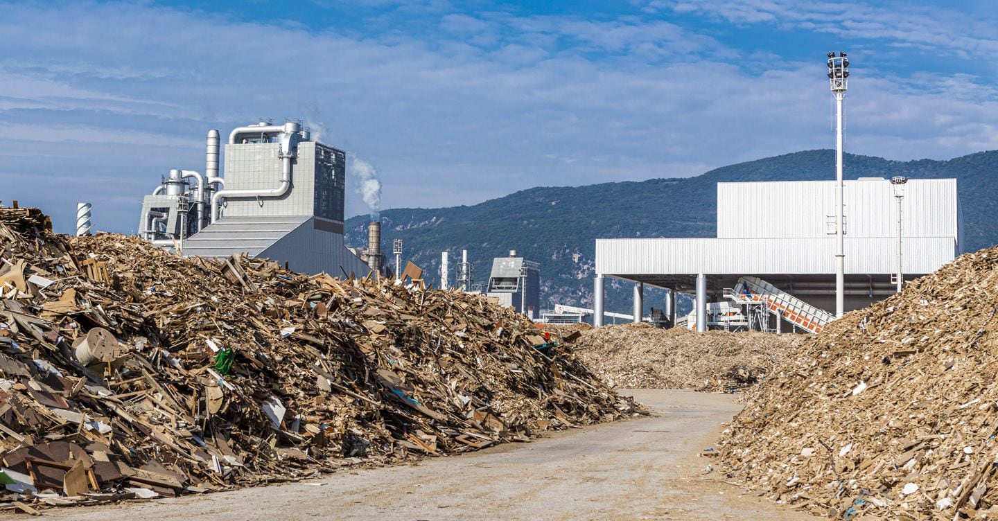 Fantoni aumenta i ricavi e investe sul controllo della filiera produttiva