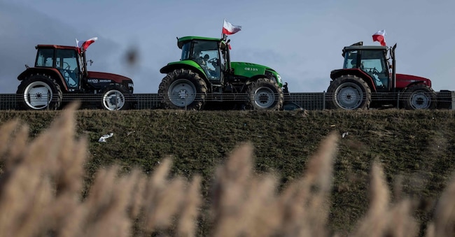 Agricoltori polacchi allineano i loro trattori e camion lungo la strada vicino alla città di Wiskitki, il 30 dicembre 2025, mentre protestano contro l'imminente firma di un accordo commerciale tra l'Unione Europea (UE) e il blocco sudamericano Mercosur. Il patto UE-Mercosur creerebbe la più grande area di libero scambio del mondo e aiuterebbe i membri dell'UE a esportare più veicoli, macchinari, vini e liquori in America Latina, in un momento di tensioni commerciali globali. Gli agricoltori temono che l'accordo con il Mercosur li vedrà sottoquotati da un flusso di merci più economiche provenienti dal gigante agricolo Brasile e dai suoi vicini. (Foto di Wojtek RADWANSKI / AFP)