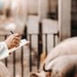 Mature veterinarian in white coat and mask on face writing down in clipboard results of examination. In background pigs in cote.