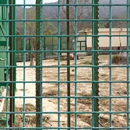 immagine non disponibile