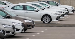 immagine non disponibile