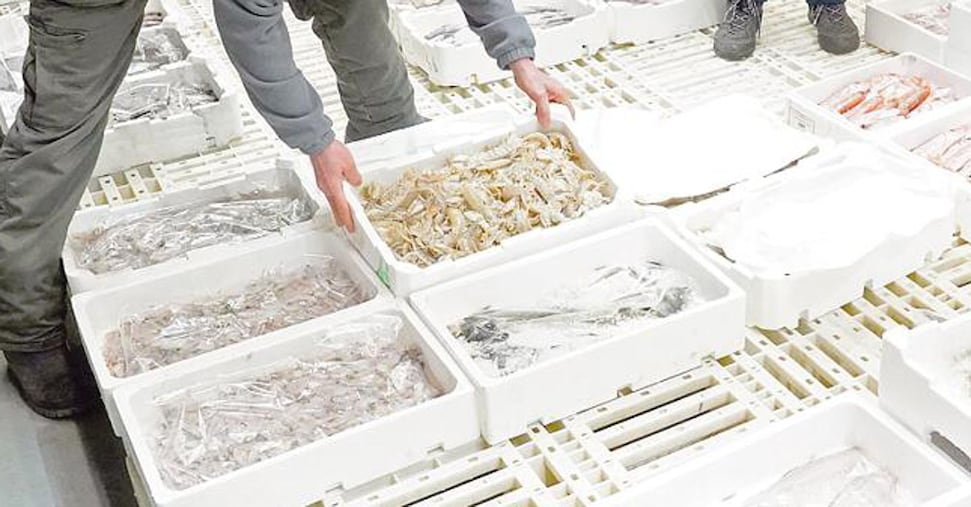 Pesca, fondi Ue a -67% ma arriva la riduzione delle giornate di fermo