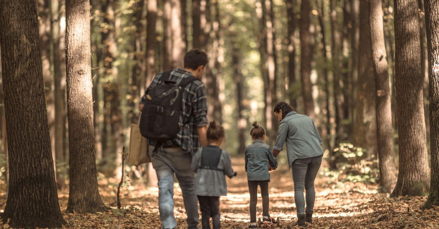 Aiuti alle famiglie, quante sono le risorse stanziate e tutte le misure previste