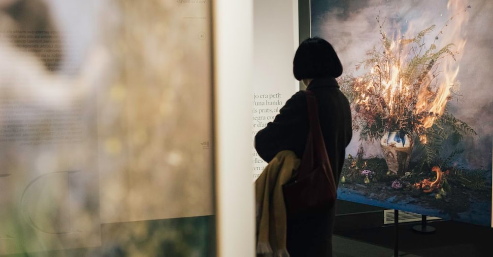 La foresta di luce e buio di Mercè Rodoreda