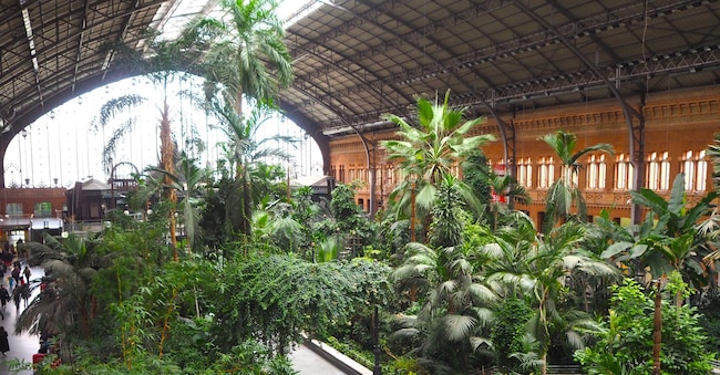La serra nella stazione Atocha di Madrid