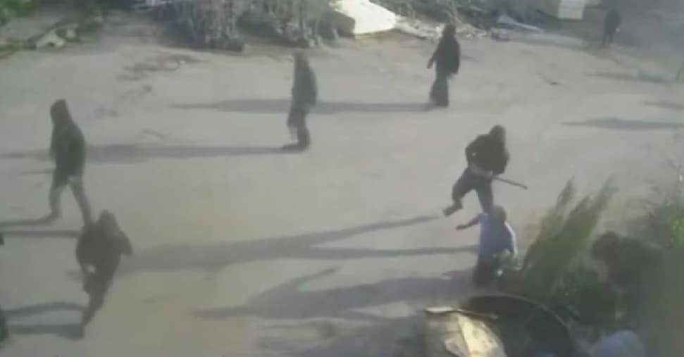 Cisgiordania, coloni israeliani assaltano vivaio e picchiano palestinese