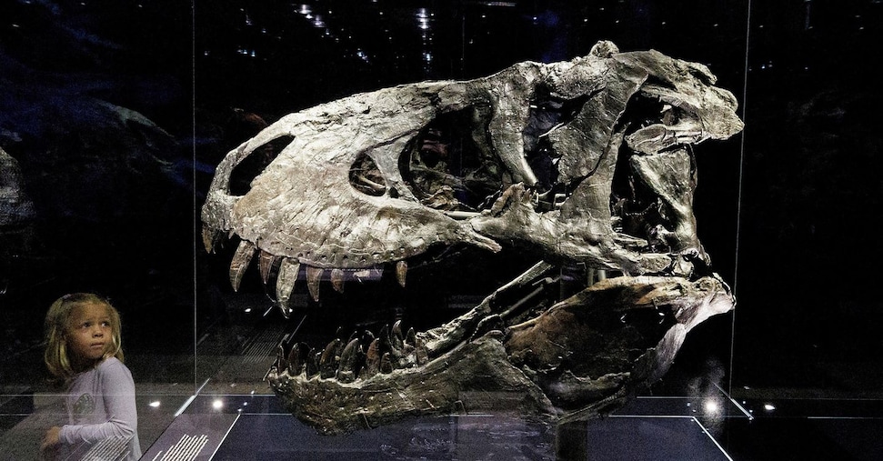 La salvezza dell’umano è l’integrazione con la Natura La salvezza dell’umano è l’integrazione con la Natura