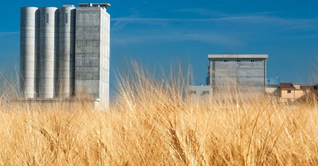 Lo stabilimento di Collecchio di Augugiaro & Figna