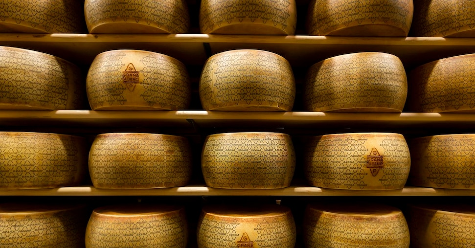 Accordo Grana Padano-Mps, plafond di 500 milioni per il credito ai caseifici