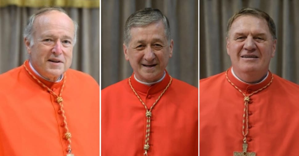 Tre cardinali Usa “contro” Trump: politiche distruttive