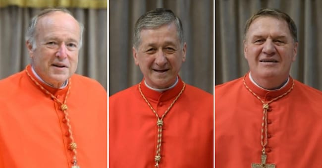 Nella combo, da sinistra, i cardinali Robert McElroy, arcivescovo di Washington; Blase Joseph Cupich, arcivescovo di Chicago; e Joseph William Tobin, arcivescovo di Newark, 19 gennaio 2026 ANSA / Vatican Media +++ UFFICIO STAMPA VATICAN MEDIA