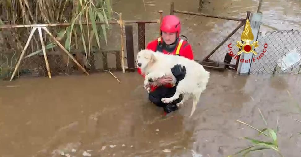 Maltempo in Sardegna, dispersi due pastori