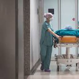 immagine non disponibile