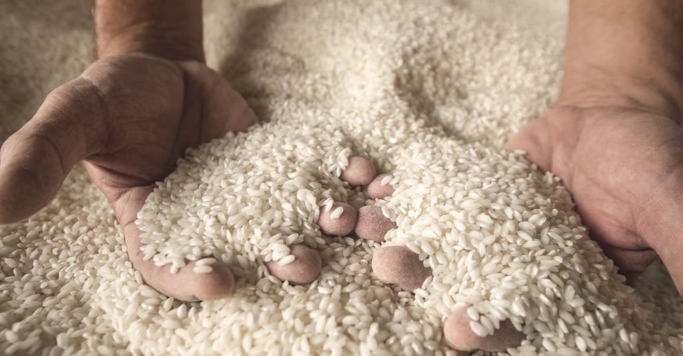 Riso europeo a rischio declino: dall’import il 60% dei consumi. Airi: servono più tutele