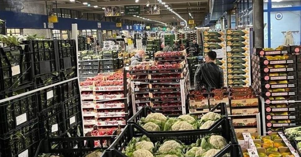 Agroalimentare, nuovo record per l’export: 73 miliardi nel 2025