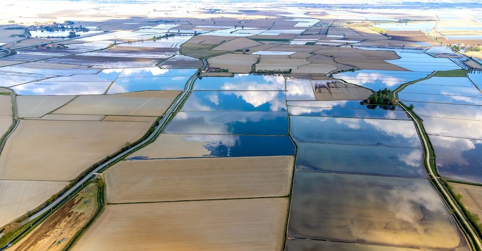 Irrigazione e risaie, per i lavori al Canale Regina Elena (Est Sesia) 70 milioni di investimenti