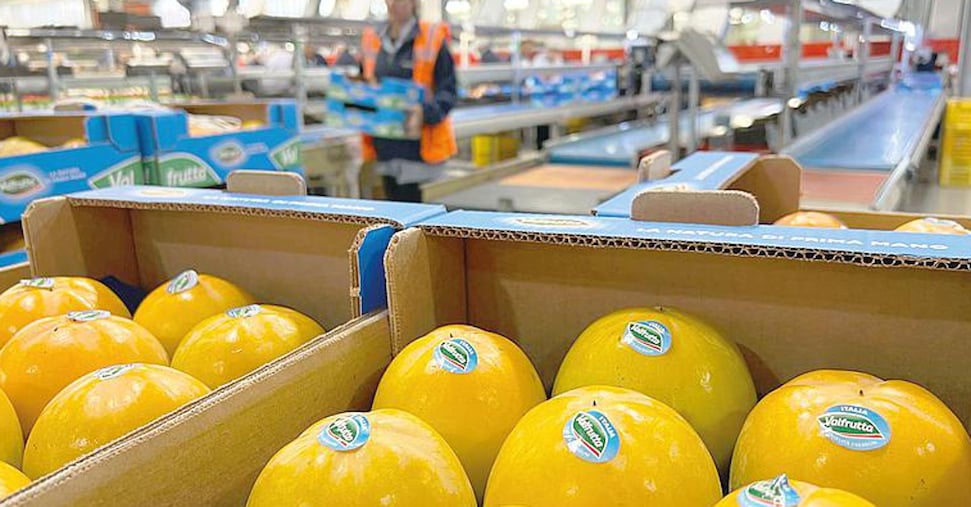La verdura premium valorizza i marchi: +33% per Valfrutta Fresco