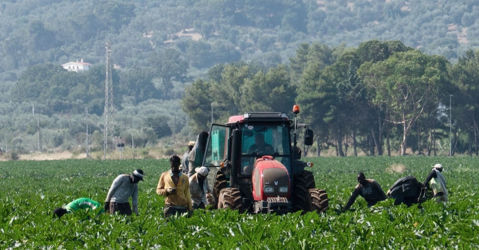 Lavoratori extraUe: 194mila domande per i click day 2026