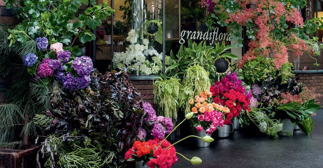 Le vetrine di Grandiflora, a Sydney.