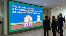 immagine non disponibile