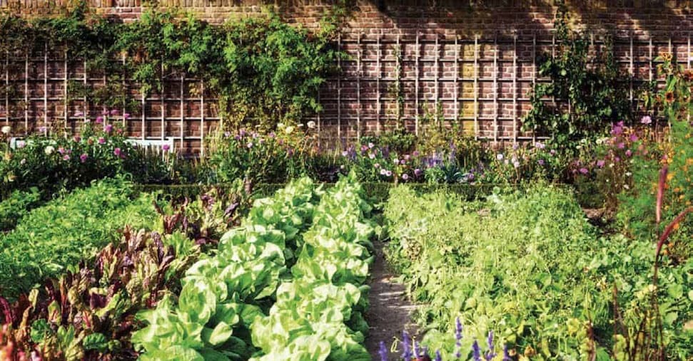 «Coltiviamo Agricoltura Sociale», in 10 anni dal bando di Confagricoltura oltre 1,2 milioni