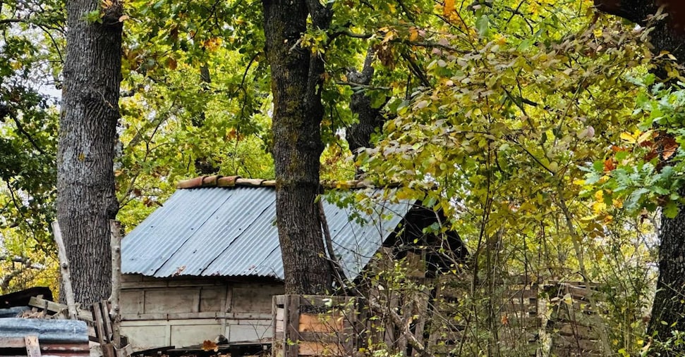 Famiglia nel bosco, i genitori denunciano l’assistente sociale. E oggi saranno sottoposti a perizia psichiatrica