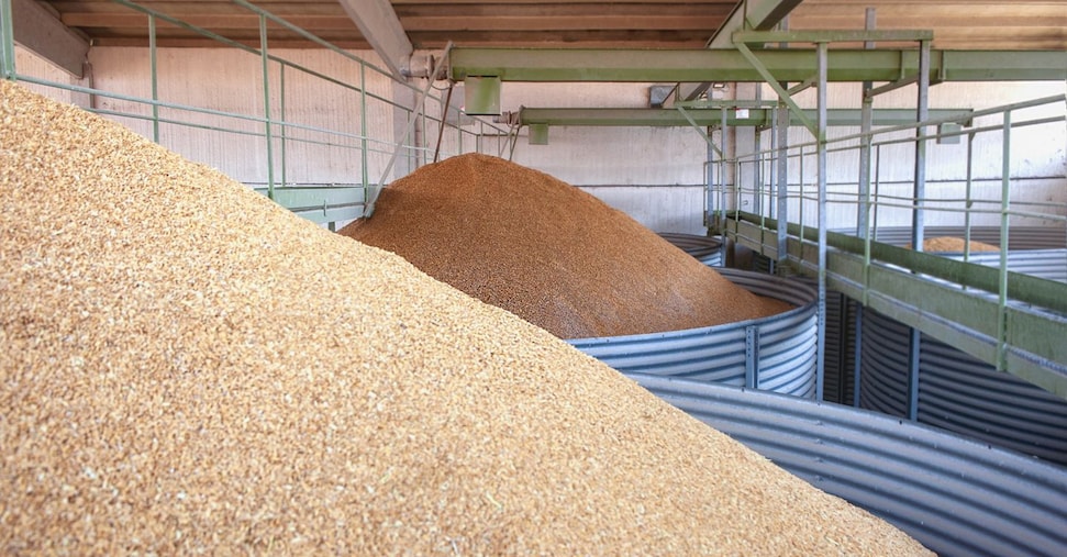 Riso, non passano le limitazioni all’import senza dazi. I produttori: a rischio 4 miliardi