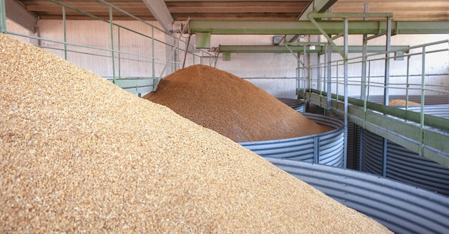Secondo l’associazione agricola europea del Copa Cogeca, 100mila ettari di riso tipo Indica in Europa sono a rischio, con un costo stimato di 4 miliardi
