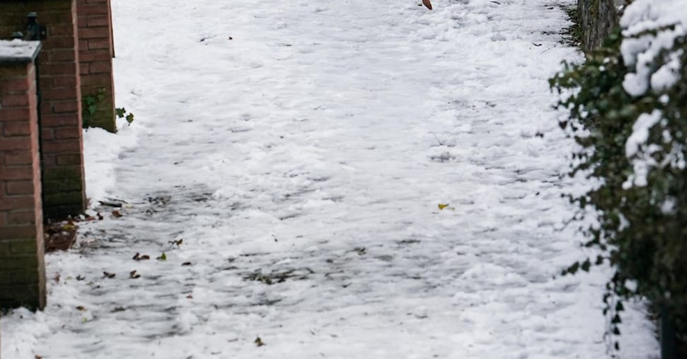 belluno bambino senza biglietto fatto scendere dal bus sotto la neve