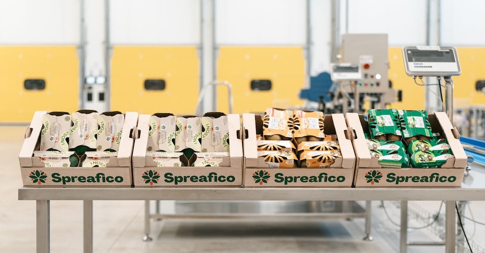 Ortofrutta, Spreafico investe nella logistica con un finanziamento da 12 milioni di Intesa Sanpaolo e Sace