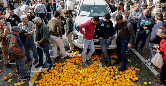 Agricoltori spagnoli lanciano arance e limoni durante una protesta contro l'accordo UE-Mercosur e la nuova politica agricola comune nella città di Malaga, nel sud della Spagna, il 29 gennaio 2026.  EPA/JORGE ZAPATA