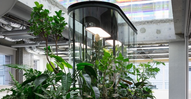 La Fabbrica dell’Aria utilizza il potere delle piante per purificare gli ambienti interni. Qui installata negli uffici della Jins, nota azienda eyewear, a Tokyo. ©Takumi Ota Photography Co.