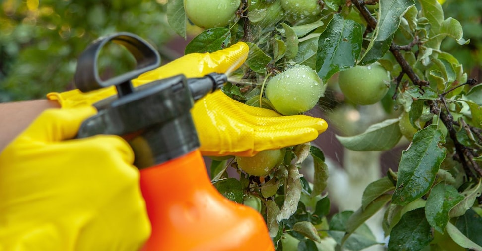 «Fitofarmaci, le regole Ue sono superate dall’innovazione, vanno modificate»