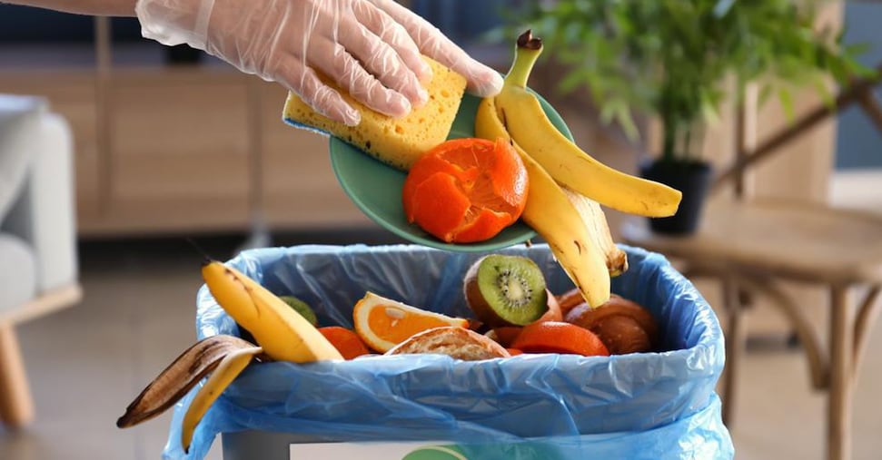 Programmazione, freezer e ricette second life: ecco il vademecum per non sprecare cibo e risparmiare fino a 500 euro