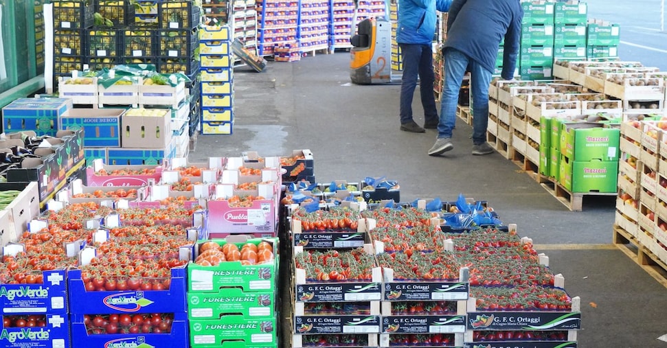 Pratiche commerciali sleali, nell’agroalimentare 5mila controlli