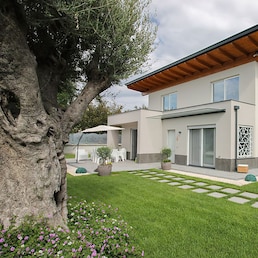 immagine non disponibile