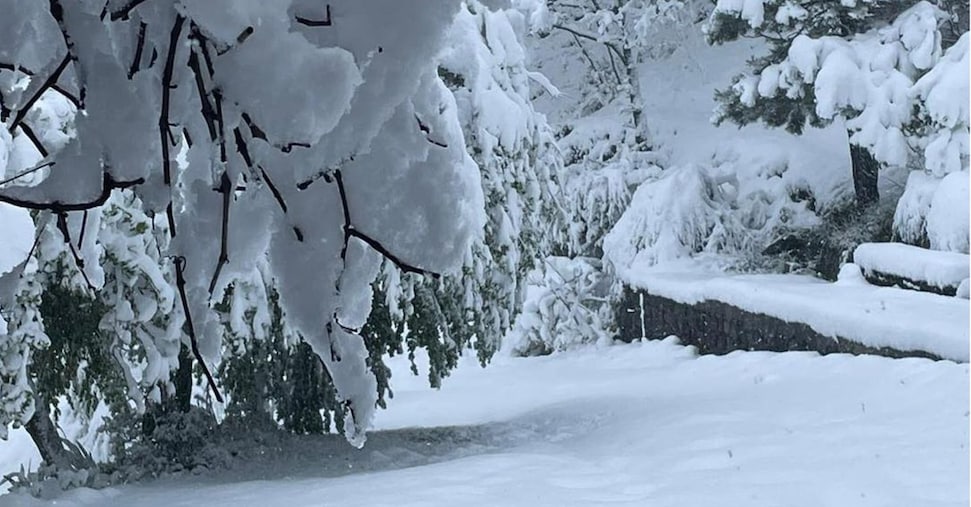valanga travolge tre scialpinisti in valtellina un morto e un disperso