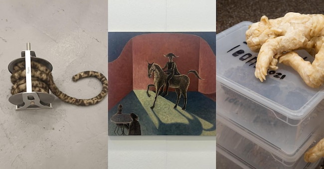 1 Nicole Wermers, «Domestic Tail (light brown spotted)», 2025, coda di pelliccia finta di 10 metri e materiali vari. In vendita presso la galleria Herald St di Londra e Bologna. 2. Leonardo Devito, «Napolino», olio su tela, 60x50 cm. Courtesy l’artista e Acappella Gallery, Napoli. 3. Bekhbaatar Enkhtur, «Hello Kitty», 2025, Cera d’api, sabbia da lettiera, scatole di plastica 4 x27x52 cm.  Venduta dalla galleria Matèria di Roma. 