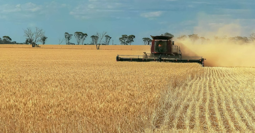 Ricambio generazionale, il nodo della terra frena i giovani agricoltori italiani