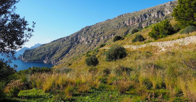 Trekking con vista sulla baia di Ieranto
