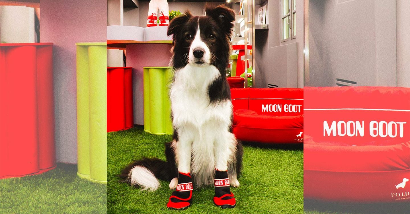 https://i2.res.24o.it/images2010/S24/Documenti/2026/02/13/Immagini/Ritagli/moon-boot-dog-1440-U83474841063vVI-1440x752@IlSole24Ore-Web.jpg