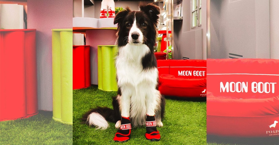 Moon Boot firma la prima capsule collection per i cani