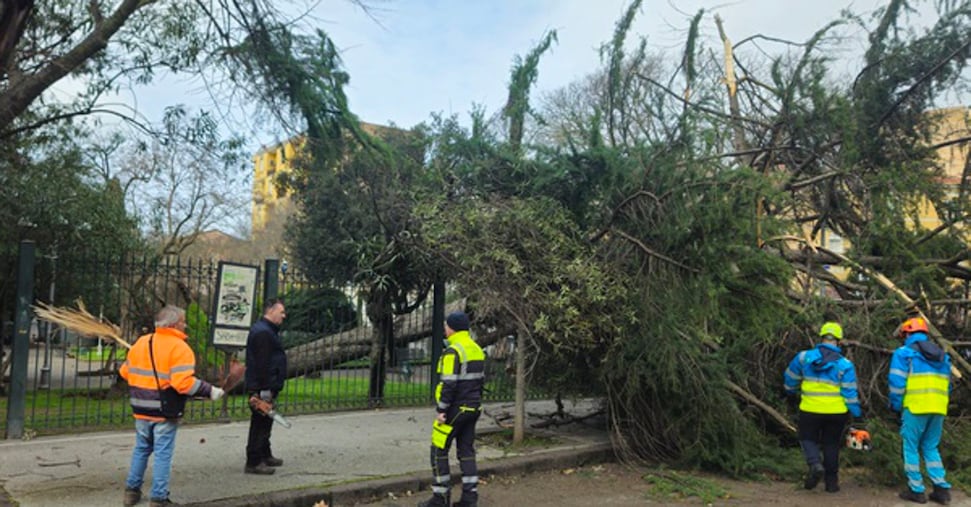 maltempo allerta arancione in calabria gialla in puglia sardegna sicilia e umbria da Ilsole24ore.com maltempo allerta arancione in calabria gialla in puglia sardegna sicilia e umbria