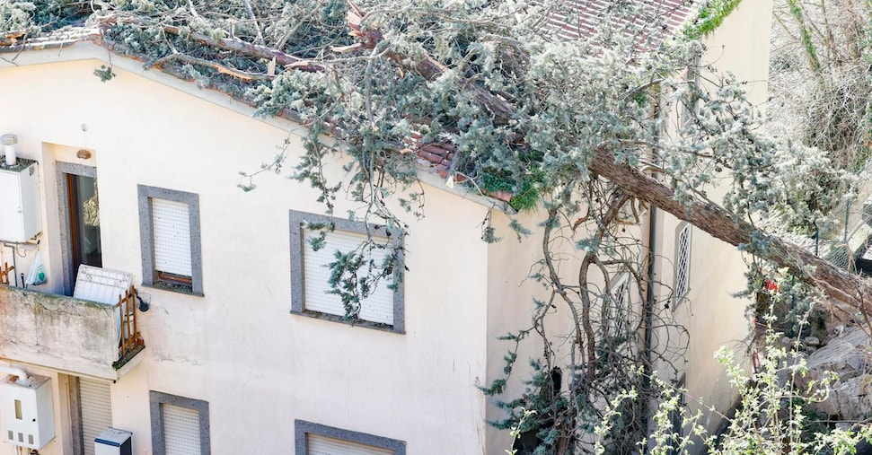 Maltempo, frana a Formello: un morto e due feriti. Esondazioni in Calabria Maltempo, frana a Formello: un morto e due feriti. Esondazioni in Calabria